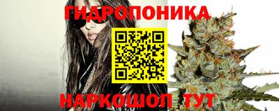 2c-b Будённовск