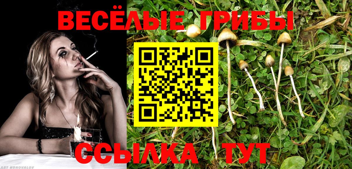 Галлюциногенные грибы Magic Shrooms Салехард
