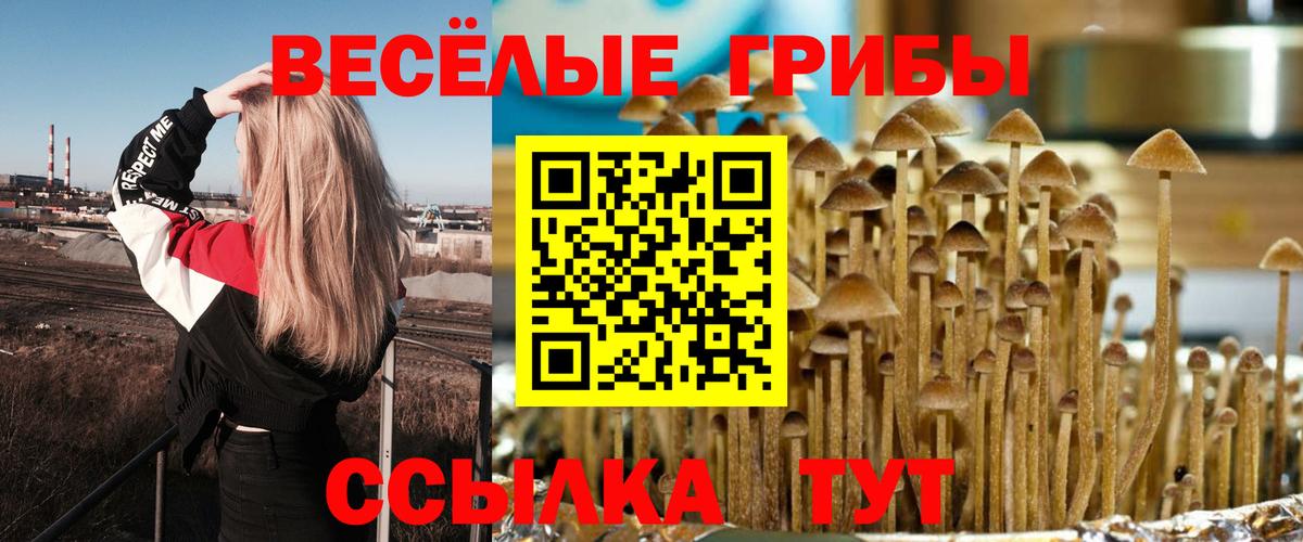 Салехард  Псилоцибиновые грибы ЛСД  Вход с VPN 